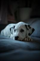 Laëtitia FUCHS - LYON EYE'S PHOTOGRAPHY